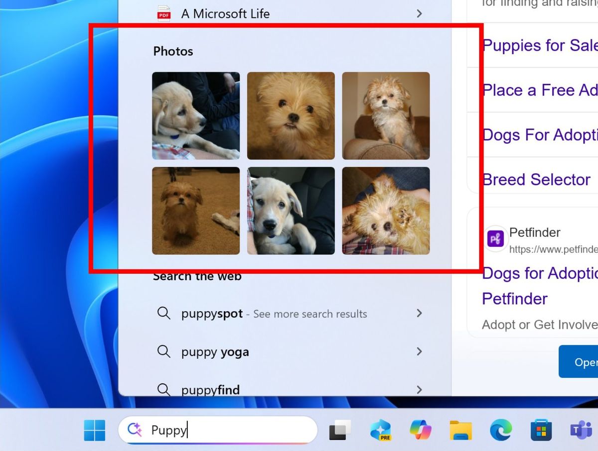 9-tinh-nang-moi-windows-11